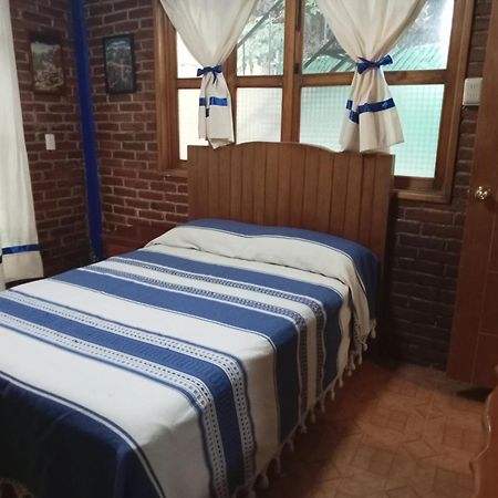 Coyoacan Departamento Tipo Colonial Mexico City Ngoại thất bức ảnh
