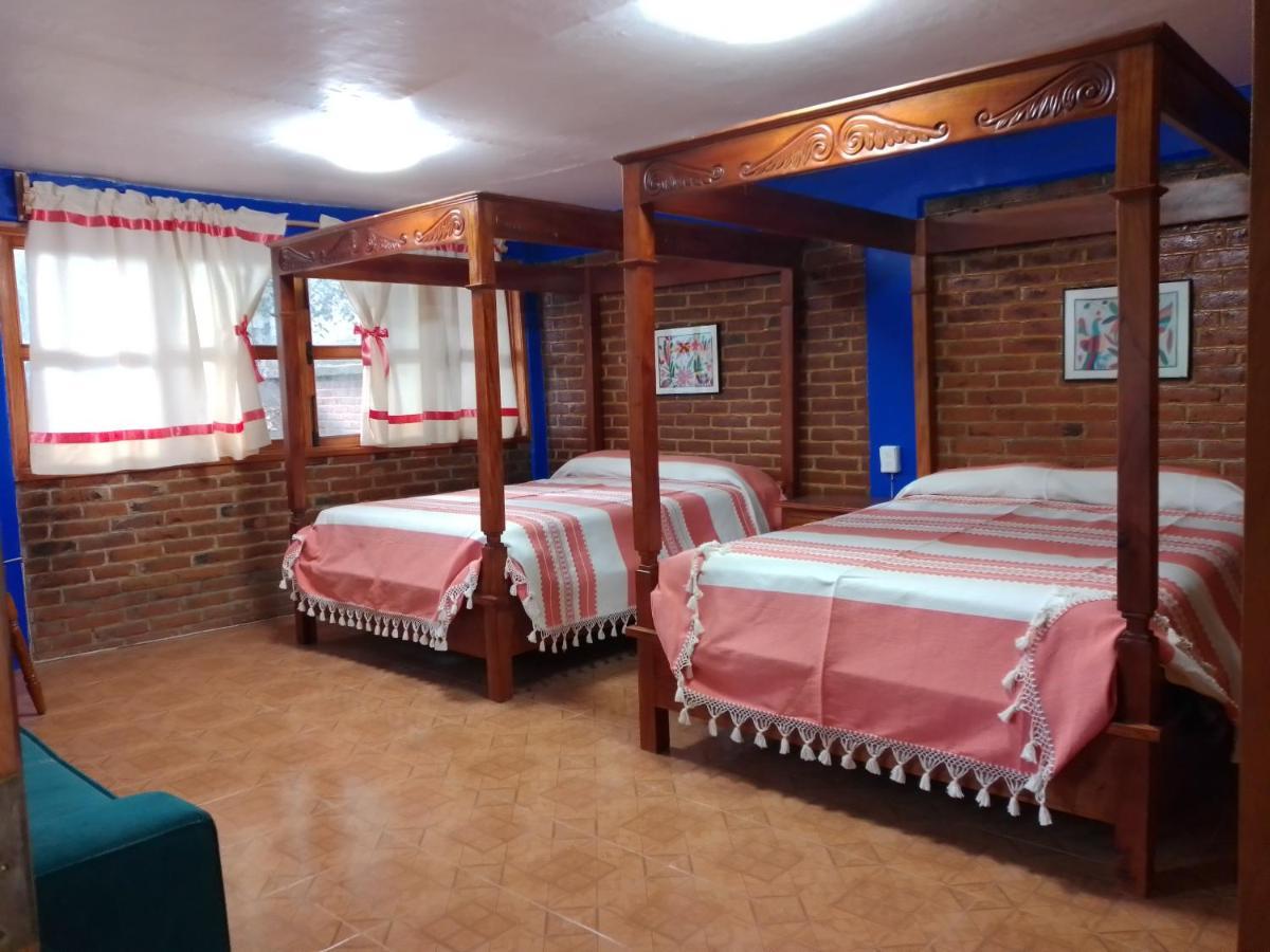 Coyoacan Departamento Tipo Colonial Mexico City Ngoại thất bức ảnh