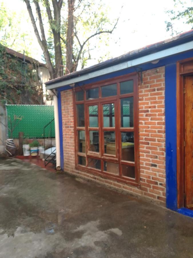 Coyoacan Departamento Tipo Colonial Mexico City Ngoại thất bức ảnh