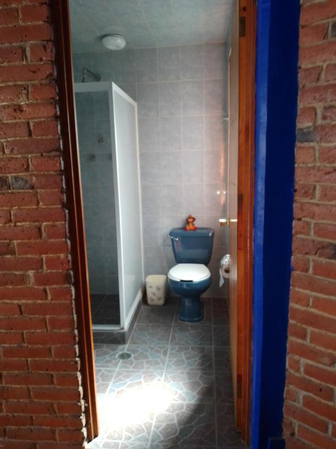 Coyoacan Departamento Tipo Colonial Mexico City Ngoại thất bức ảnh
