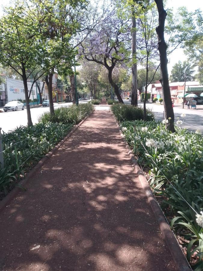 Coyoacan Departamento Tipo Colonial Mexico City Ngoại thất bức ảnh